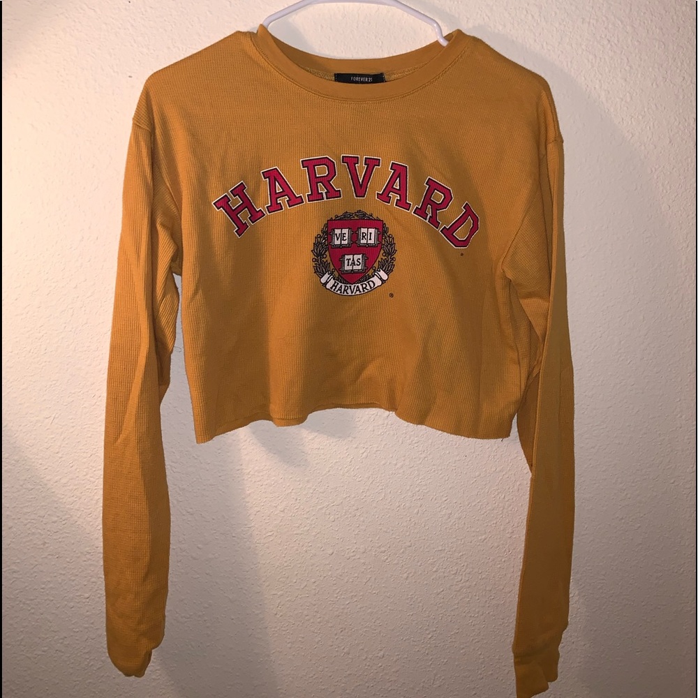 Harvard shirt